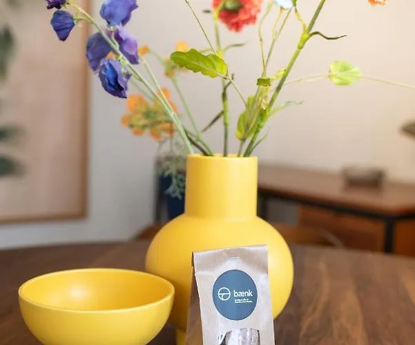 Baenk Designhideaway * Nieuwpoort